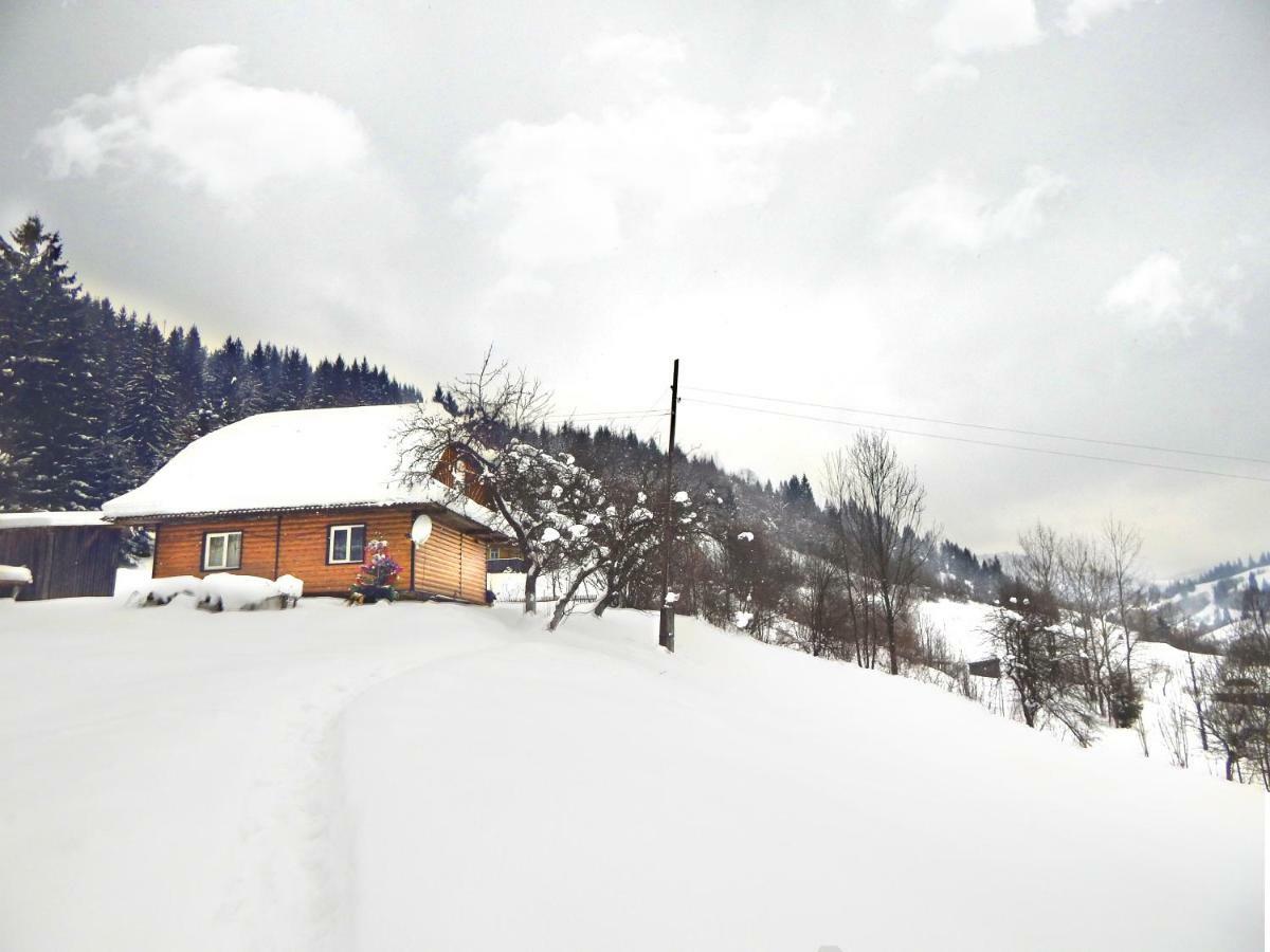 Cottage Svitanok Lopushnoye Exterior foto